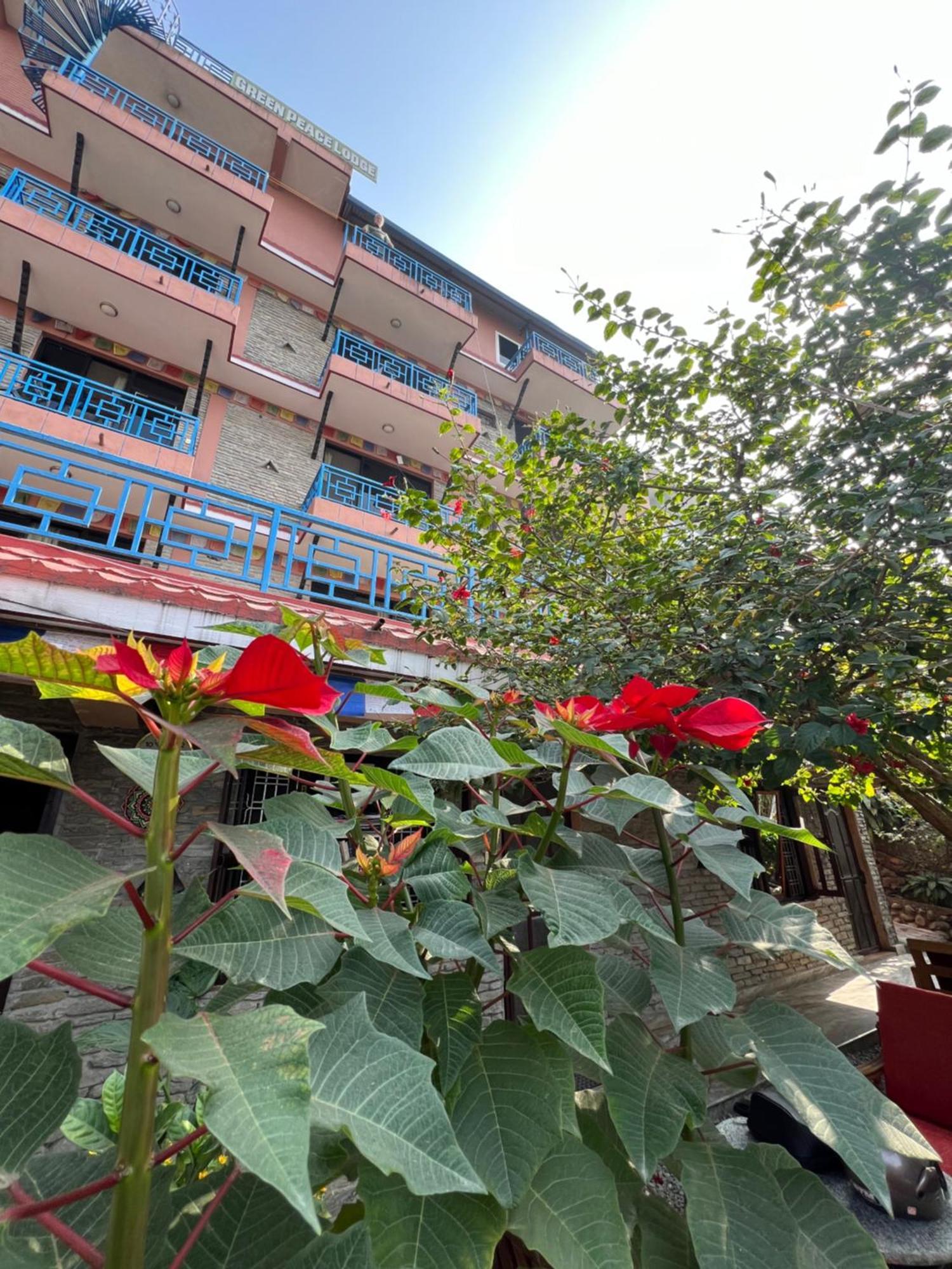 Little Pilgrim Family Lodge Pokhara Bagian luar foto